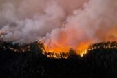 California’daki orman yangınında 11 binden fazla kişi tahliye edildi
