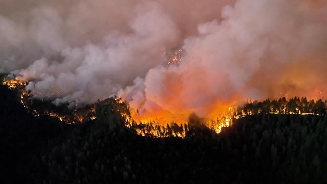 California’daki orman yangınında 11 binden fazla kişi tahliye edildi