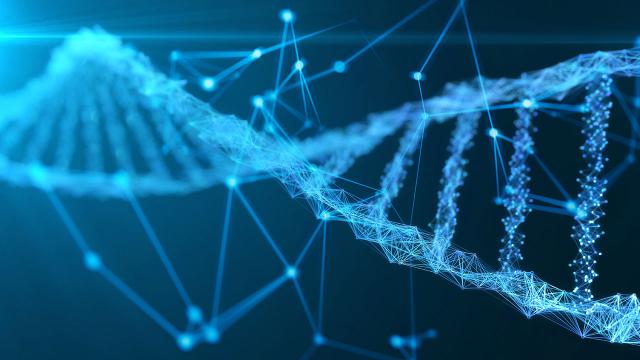 ‘Kutunun içindeki çocuğun’ kimliği 65 yıl sonra DNA teknolojisi ile bulundu