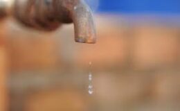 Güney Afrika’da su kıtlığı yaşanıyor