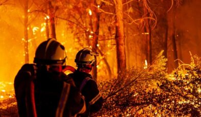 ABD’nin 5 eyaleti için orman yangını uyarısı
