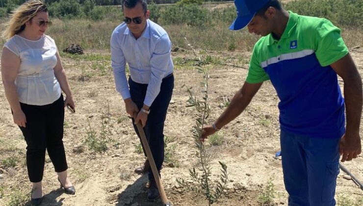 Alpet Kıbrıs, Haspolat Bölgesi’nde oluşturulan Şampiyon Melekler Koruluğu’na fidan dikti