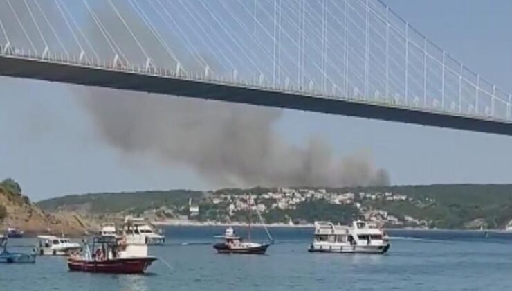 Beykoz’da Anadolu Feneri ile Poyrazköy’de ormanlık alanda yangın çıktı