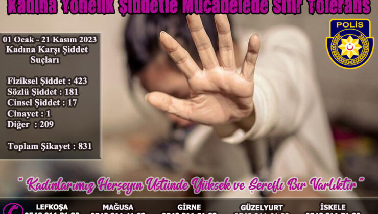 2023’te kadına şiddet vakası istatistikleri. “1 cinayet, 423 fiziksel şiddet, 181 sözlü şiddet, 17 cinsel şiddet”