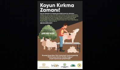 Kırkılmış koyun yünlerinin, ‘Yünün Kuzey Kıbrıs’ta Yeniden Doğuşu’ projesine hibe edilmesiyle ilgili afiş ve video hazırlandı
