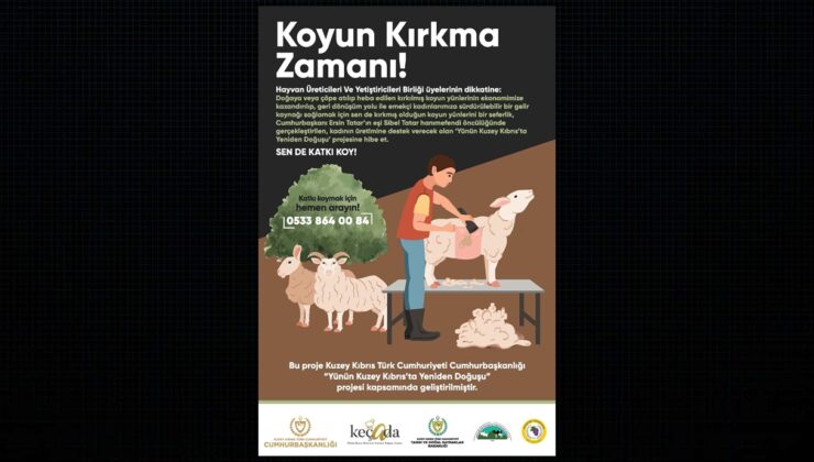 Kırkılmış koyun yünlerinin, ‘Yünün Kuzey Kıbrıs’ta Yeniden Doğuşu’ projesine hibe edilmesiyle ilgili afiş ve video hazırlandı