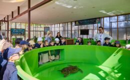 Meritta Deniz Kaplumbağaları Rehabilitasyon Merkezine miniklerden ziyaret…