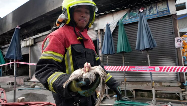 Tayland’da hayvan pazarında çıkan yangında binlerce hayvan öldü