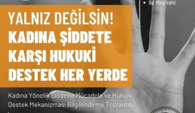 “Kadına Yönelik Şiddetle Mücadele ve Hukuki Destek Mekanizması” toplantıları yarın Akdoğan’la devam edecek