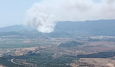 İzmir’de orman yangını