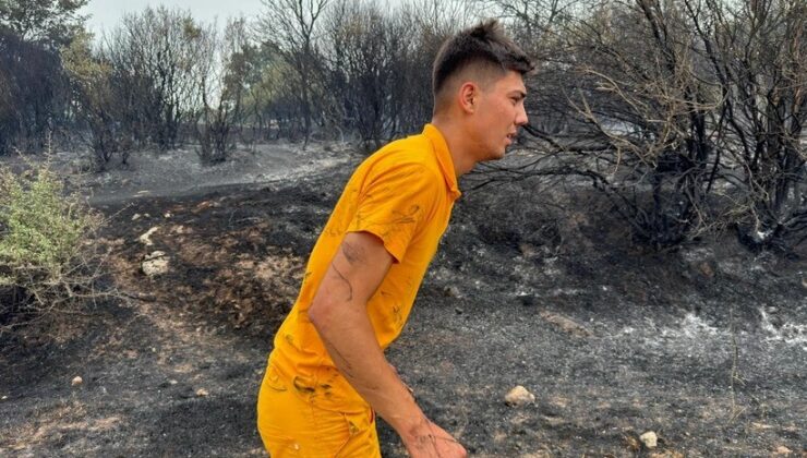 Muğla, Balıkesir, Denizli, Aydın ve Manisa’da orman yangınları