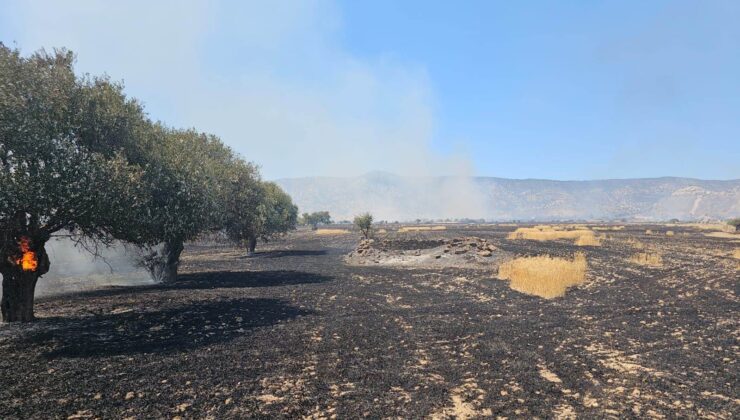 İncirli Mağara mevkiindeki yangın kısmen kontrol altına alındı