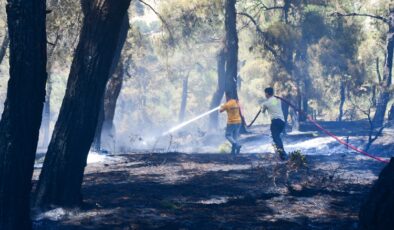 İzmir ve Balıkesir’deki orman yangınları kontrol altına alındı