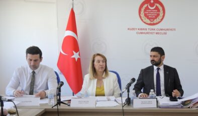 İdari, Kamu ve Sağlık İşleri Komitesi toplandı