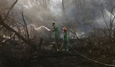 Serifos Adası’ndaki yangın nedeniyle Yunan yetkililer 7 yerleşim birimini tahliye etti