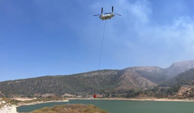 Muğla’nın Milas ilçesinde orman yangını çıktı