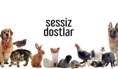 Sessiz Dostlar 14.07.2024