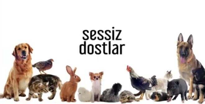 Sessiz Dostlar 09.02.2025