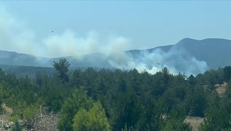 Bursa’da orman yangınına müdahale ediliyor