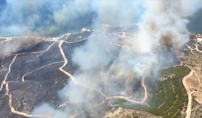 Çeşme’de orman yangını rüzgarın etkisiyle hızla yayılıyor… Bazı evler tahliye edildi