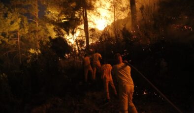 Muğla’da çıkan orman yangınına müdahale gece boyunca devam etti