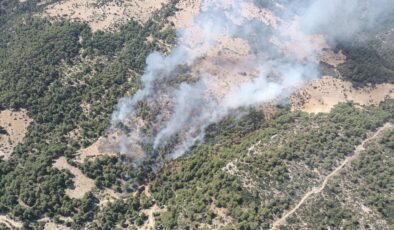 Antalya’nın Kaş ilçesinde orman yangını çıktı