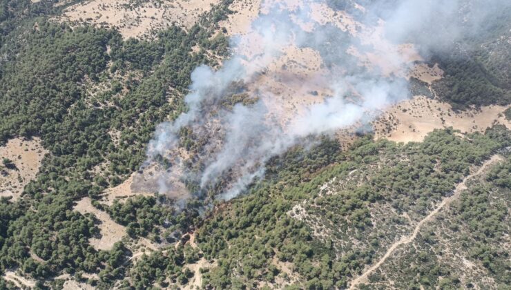 Antalya’nın Kaş ilçesinde orman yangını çıktı