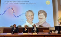 2024 Nobel Tıp Ödülü “microRNA keşfinden” dolayı ABD’li Victor Ambros ve Gary Ruvkun’a verildi