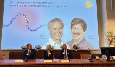 2024 Nobel Tıp Ödülü “microRNA keşfinden” dolayı ABD’li Victor Ambros ve Gary Ruvkun’a verildi