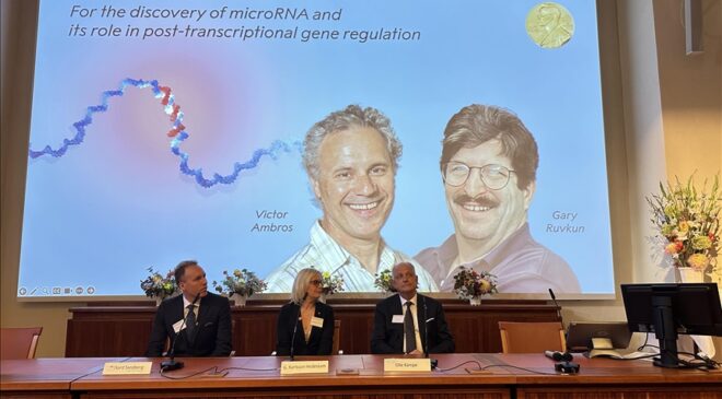 2024 Nobel Tıp Ödülü “microRNA keşfinden” dolayı ABD’li Victor Ambros ve Gary Ruvkun’a verildi