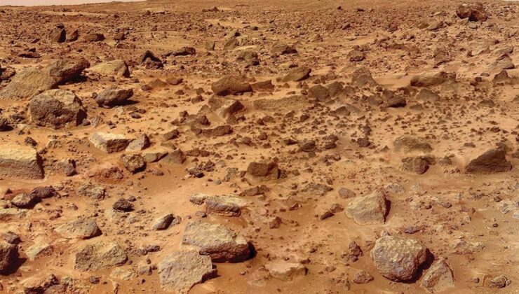 Mars’ta hayatta kalabiliyor! İnsan yaşamını başlatabilir – Son Dakika Teknoloji Haberleri