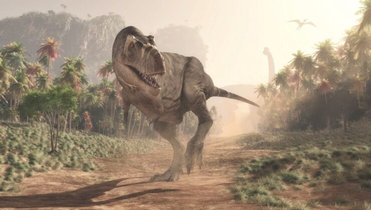 Araştırmalara göre T-rex sanıldığı kadar zeki değildi