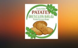 Patates Üreticiler Birliği:Bazı marketlerin fahiş kar oranlarından ötürü fiyatlar 140 TL’ye kadar çıktı