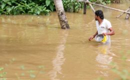 Sri Lanka’da şiddetli yağışların yol açtığı afetlerden 15 binden fazla kişi etkilendi