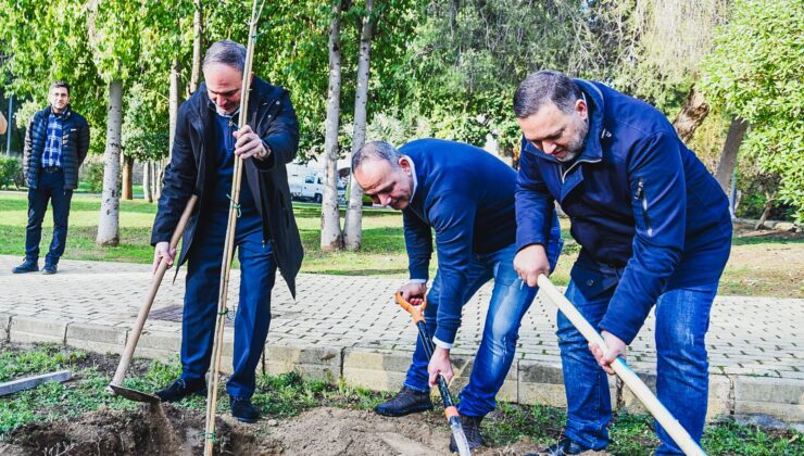 Lefkoşa Çağlayan Parkı’nda iki toplumlu ağaçlandırma çalışması yapıldı