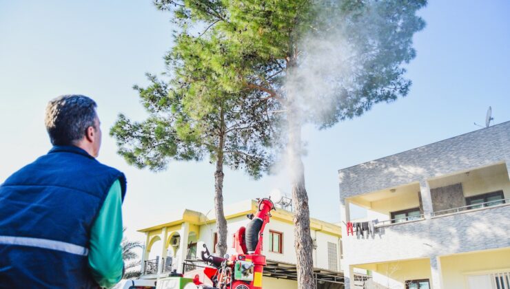 LTB’nin çam kese böceğiyle mücadelede biyolojik ilaçlama çalışmaları başladı