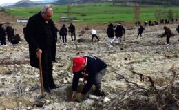 Gençlik Dairesi organizasyonunda 550 fidan ekildi