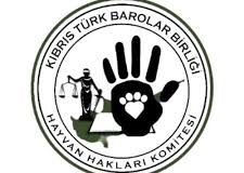 Barolar Birliği ve sivil toplum örgütlerinden Ceza (Değişiklik) Yasa Önerisi değerlendirmesi