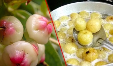 Guava ve Amla: Hangisi daha fazla C vitamini içerir?