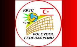 Voleybol Büyükler Ligi