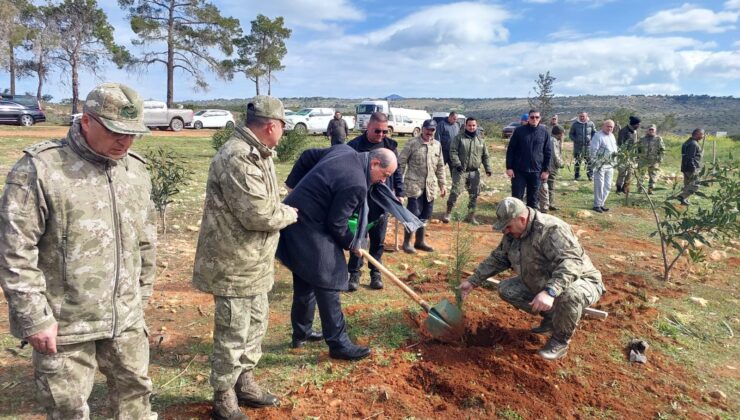 Cumhurbaşkanı Tatar ve eşi, Cumhurbaşkanlığı Hoşgeldin Bebek Hatıra Ormanı’na fidan dikimi etkinliğine katıldı