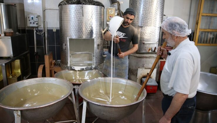 Kerevizli mercimek salatası tarifi – Son Dakika Yaşam Haberleri