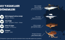 Su ürünleri dönemsel av yasakları konusunda bilgilendirme yapıldı