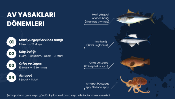 Su ürünleri dönemsel av yasakları konusunda bilgilendirme yapıldı