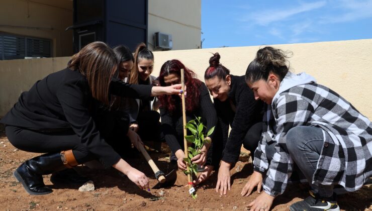 İskele Belediyesi, 8 Mart Kadınlar Günü dolayısıyla bölgede yaşayan kadınlara fidan hediye etti