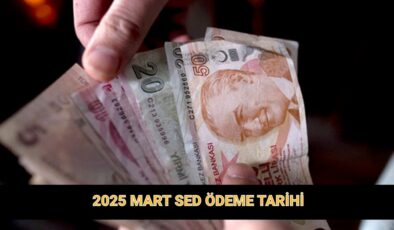 Mart ayı SED ödemesi takvimi | Sosyal ve Ekonomik Destek parası yattı mı? SED nedir?