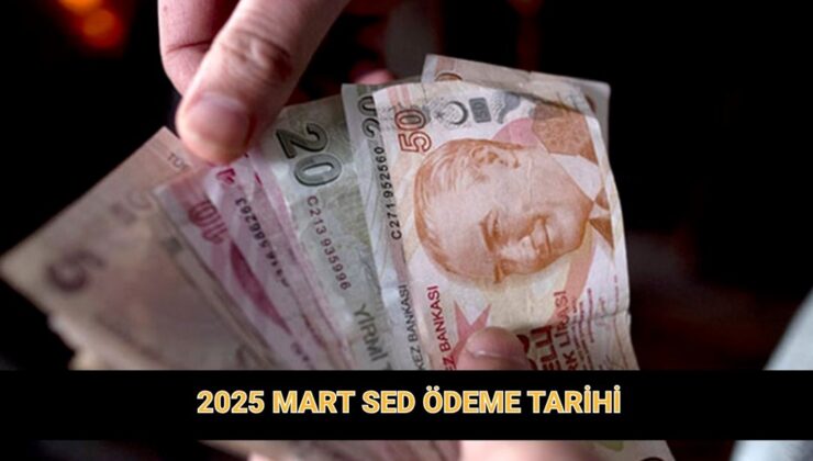 Mart ayı SED ödemesi takvimi | Sosyal ve Ekonomik Destek parası yattı mı? SED nedir?