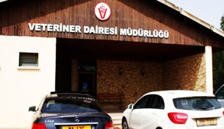 Veteriner Dairesi’nden küçükbaş hayvan üreticilerine beyan uyarısı: Son tarih 30 Haziran
