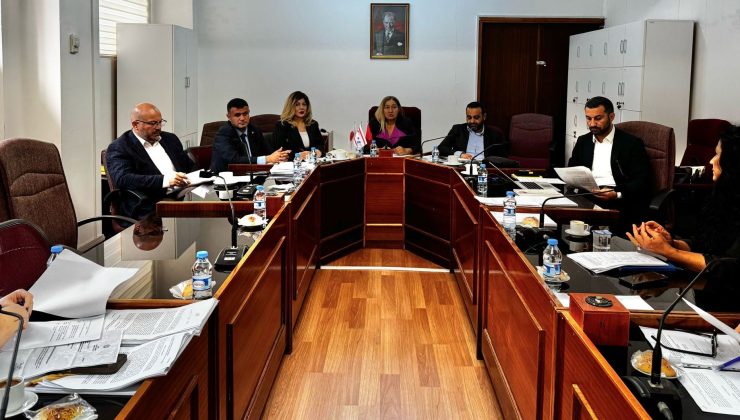 Hukuk, Siyasi İşler, Dışilişkiler ve Savunma Komitesi bir tasarı bir de öneriyi görüştü
