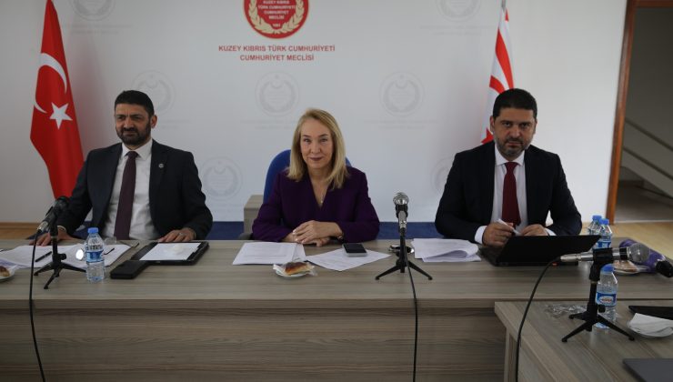 “Sosyal Hizmetler Dairesi Yasa Tasarısı” komitede görüşülüyor